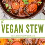 Long pin of Vegan Stew with title