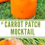 Long pin of Carrot Patch Mocktail on grass with tthe title