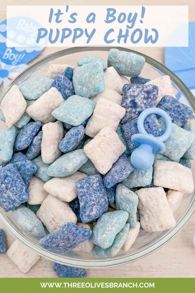 Top view of It's a Boy Puppy Chow in blue and white in a bowl with a plastic pacifier and title at top