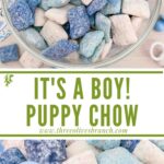 Long pin of It's a Boy Puppy Chow in dark blue, light blue, and white with title in the middle