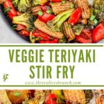 Long pin for Vegetable Teriyaki Stir Fry with title