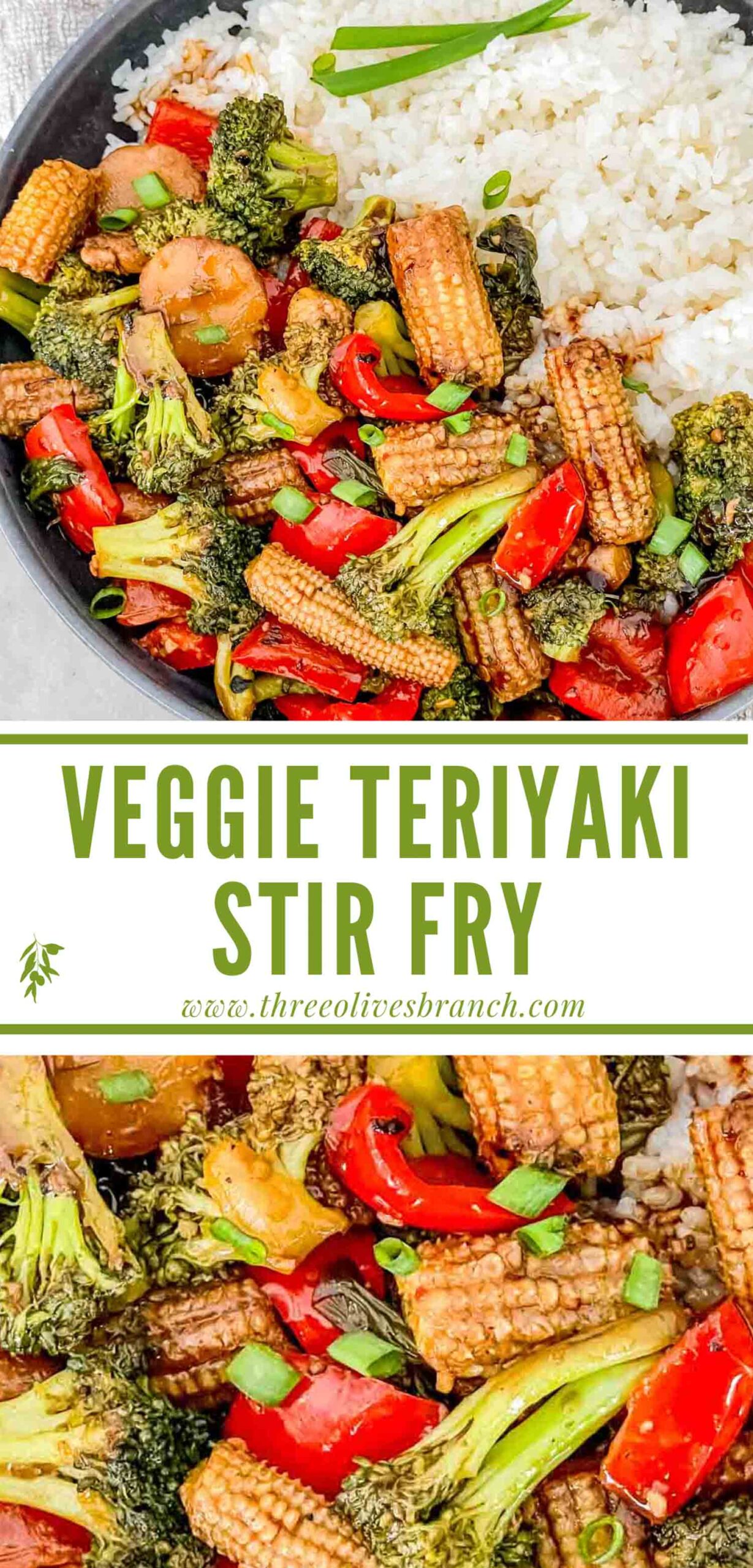 Vegetable Teriyaki Stir Fry - Three Olives Branch