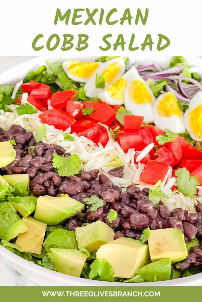 Pin of Mexican Cobb Salad  up close with the toppings in rows and title at top