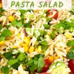 Pin of Mexican Orzo Pasta Salad up close with title at top