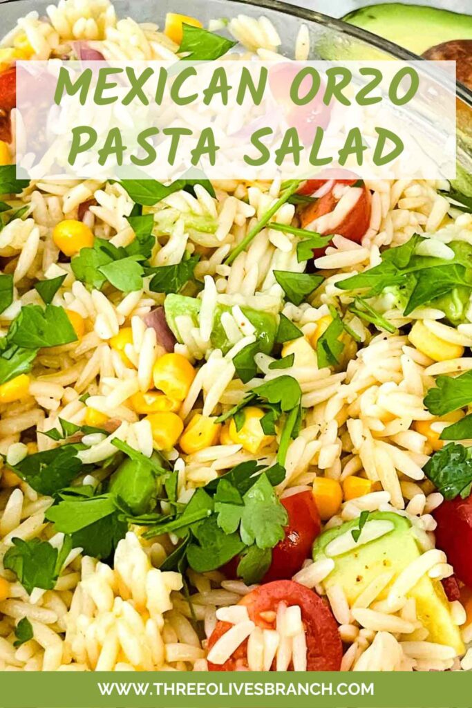 Pin of Mexican Orzo Pasta Salad up close with title at top