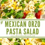 Long pin of Mexican Orzo Pasta Salad with title