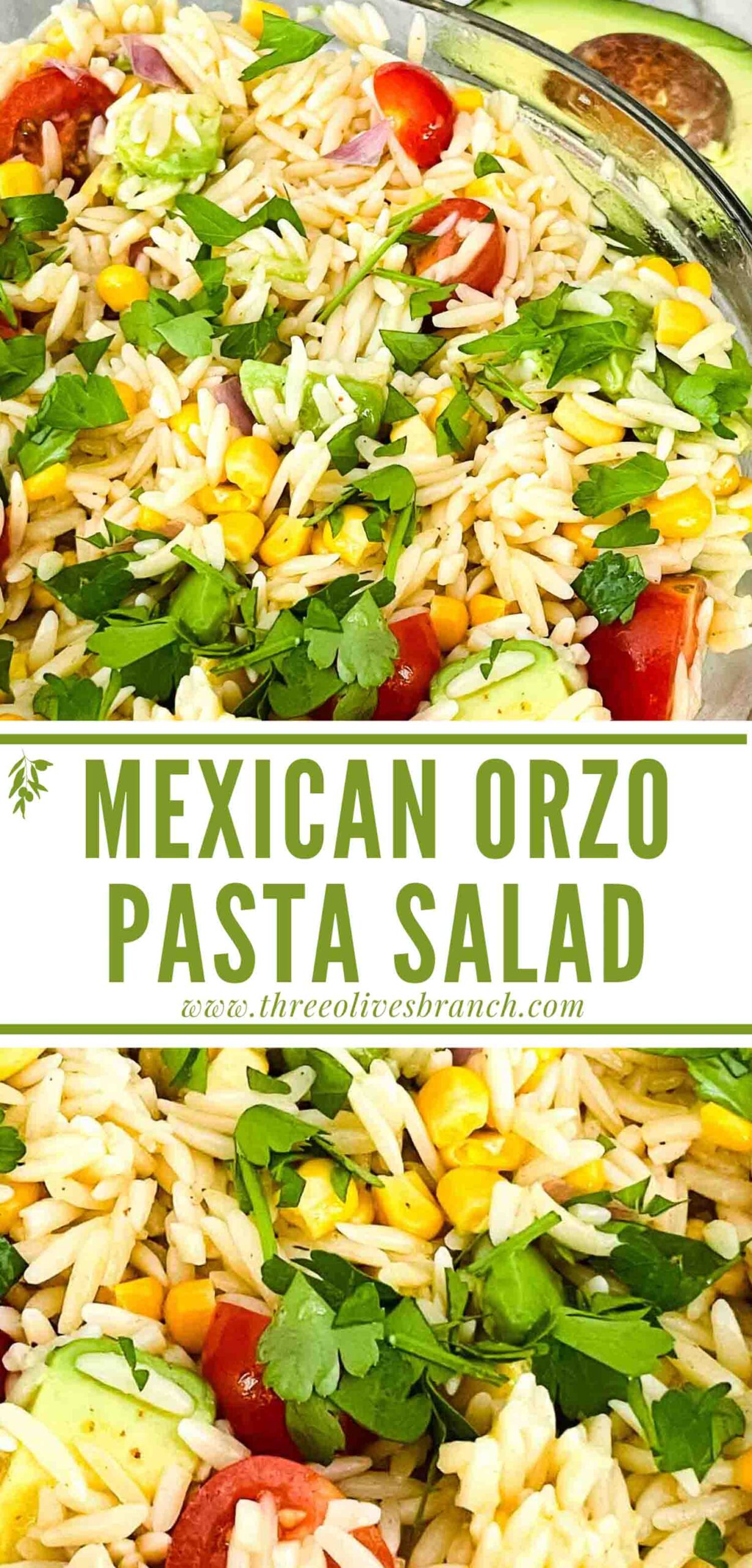 Mexican Orzo Pasta Salad Three Olives Branch