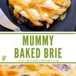 Long pin of Halloween Mummy Wrapped Baked Brie Recipe with title.