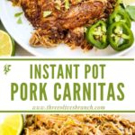 Long pin for Instant Pot Pork Carnitas with title.