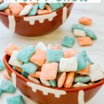 Pin of turquoise, orange, and white Miami Dolphins Puppy Chow.