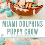 Long pin for Miami Dolphins Puppy Chow.