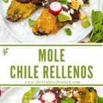 Long pin of Mole Chile Rellenos with title.