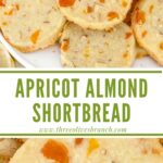 Longer pin of Apricot Almond Shortbread Cookies with title.
