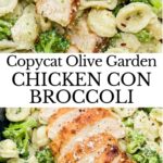 Bold pin of Copycat Olive Garden Chicken con Broccoli with title.