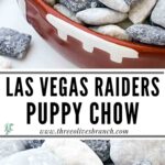 Long pin for Las Vegas Raiders Puppy Chow with title.