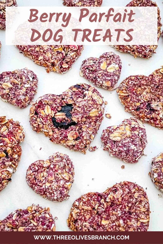 Pin of Crunchy Berry Parfait Dog Treats on a counter with title at top.