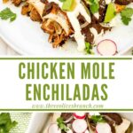 Longer pin of Chicken Mole Enchiladas with title.