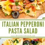 Long pin for Italian Pasta Salad with Pepperoni.