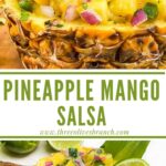 Long pin of Pineapple Mango Salsa.