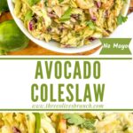 Long pin for Creamy Avocado Coleslaw (without Mayo) with title.