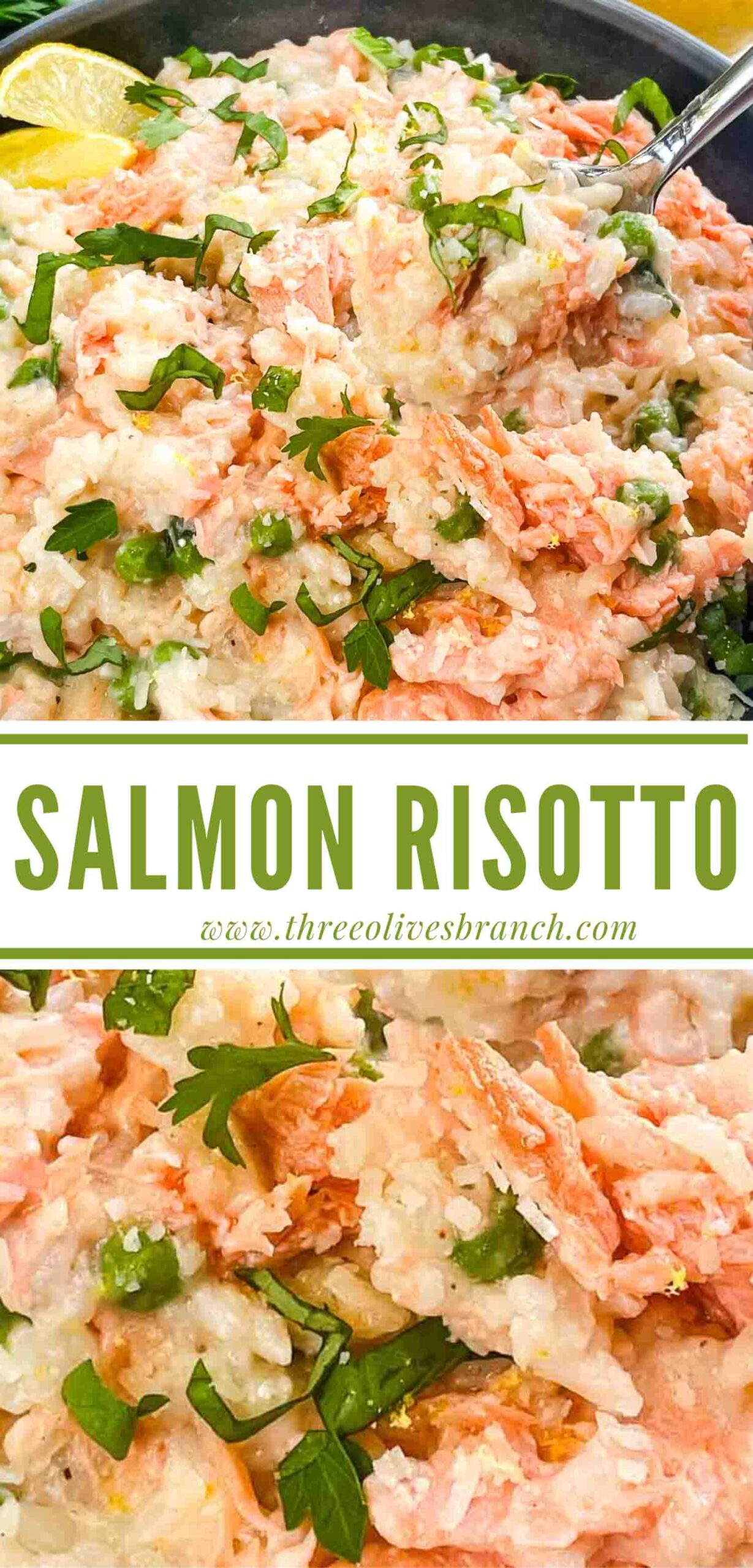 Salmon Risotto - Three Olives Branch