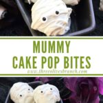 Long pin for Mummy Cake Pops.
