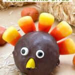 Pin of Thanksgiving Turkey Cake Pop up close.