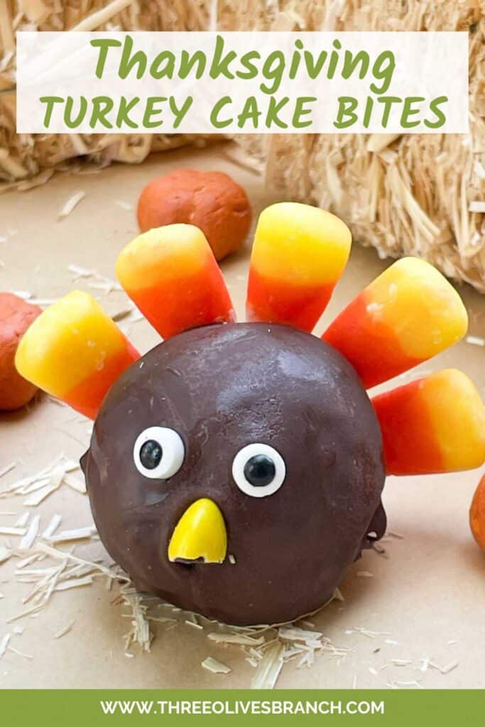 Pin of Thanksgiving Turkey Cake Pop up close.