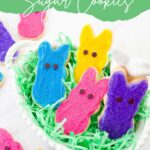 Short pin for Peeps Bunny Easter Sugar Cookies.