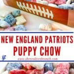 Long pin for New England Patriots Puppy Chow.