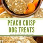 Long pin for Peach Crisp Dog Treats.