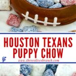 Long pin for Houston Texans Puppy Chow with title.