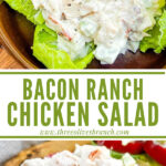 Long pin for Bacon Ranch Chicken Salad.