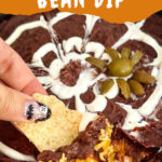 Pin of a hand digging a chip into Halloween Spider Bean Dip.