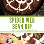 Long pin for Halloween Spider Bean Dip.